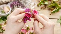 Ausbildungs- und Praktikumsplätze in der Floristik